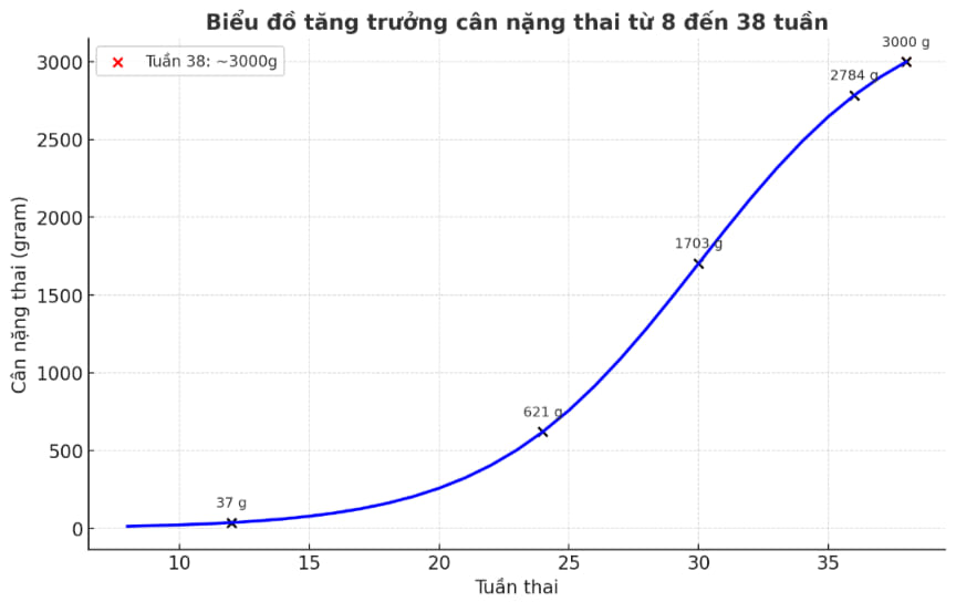 Chú ý dinh dưỡng để giảm nguy cơ thai nhỏ so với tuổi thai