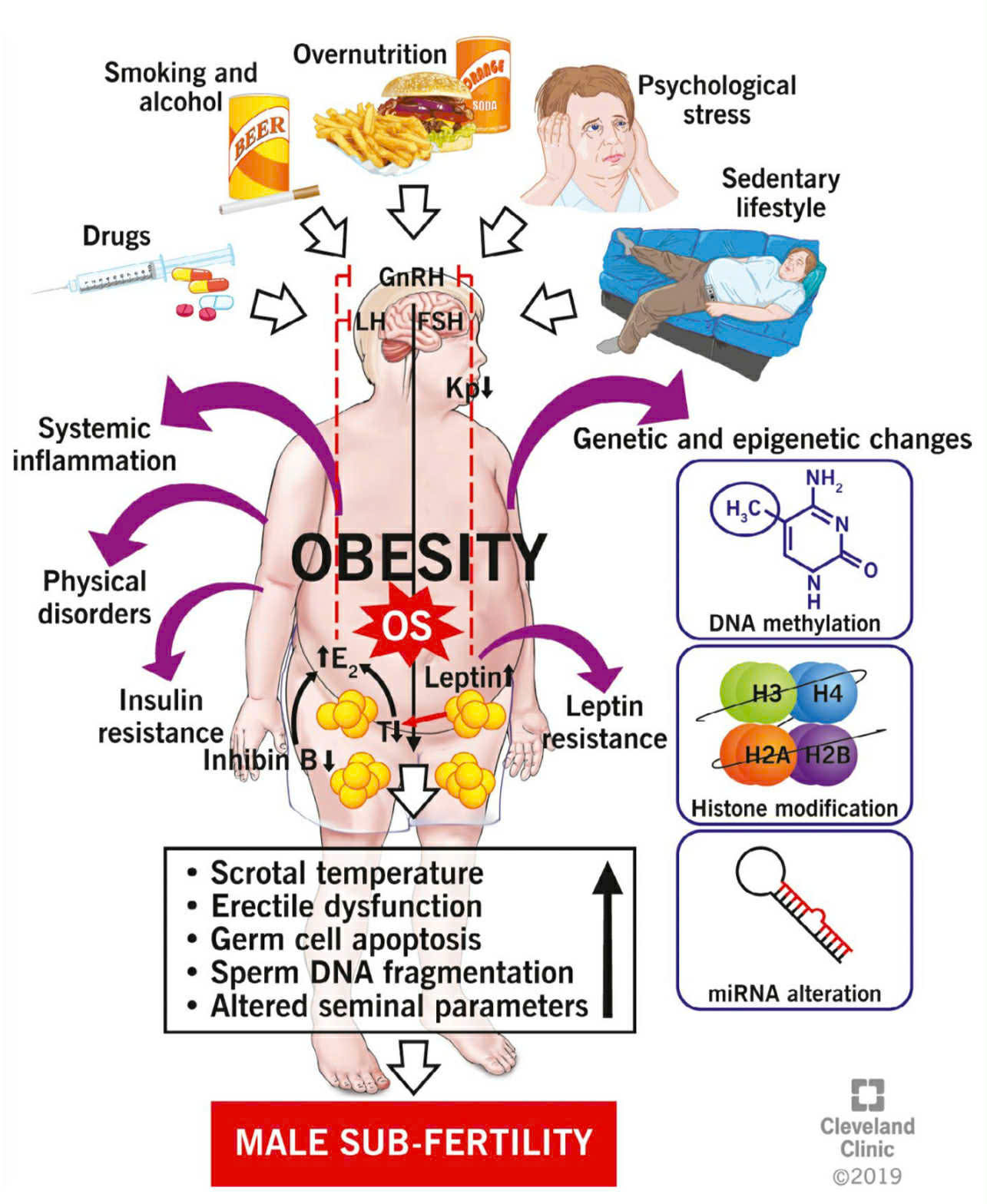 BÉO PHÌ NAM – KẺ PHÁ HOẠI TINH BINH THÔNG QUA HÀNG CHỤC CƠ CHẾ